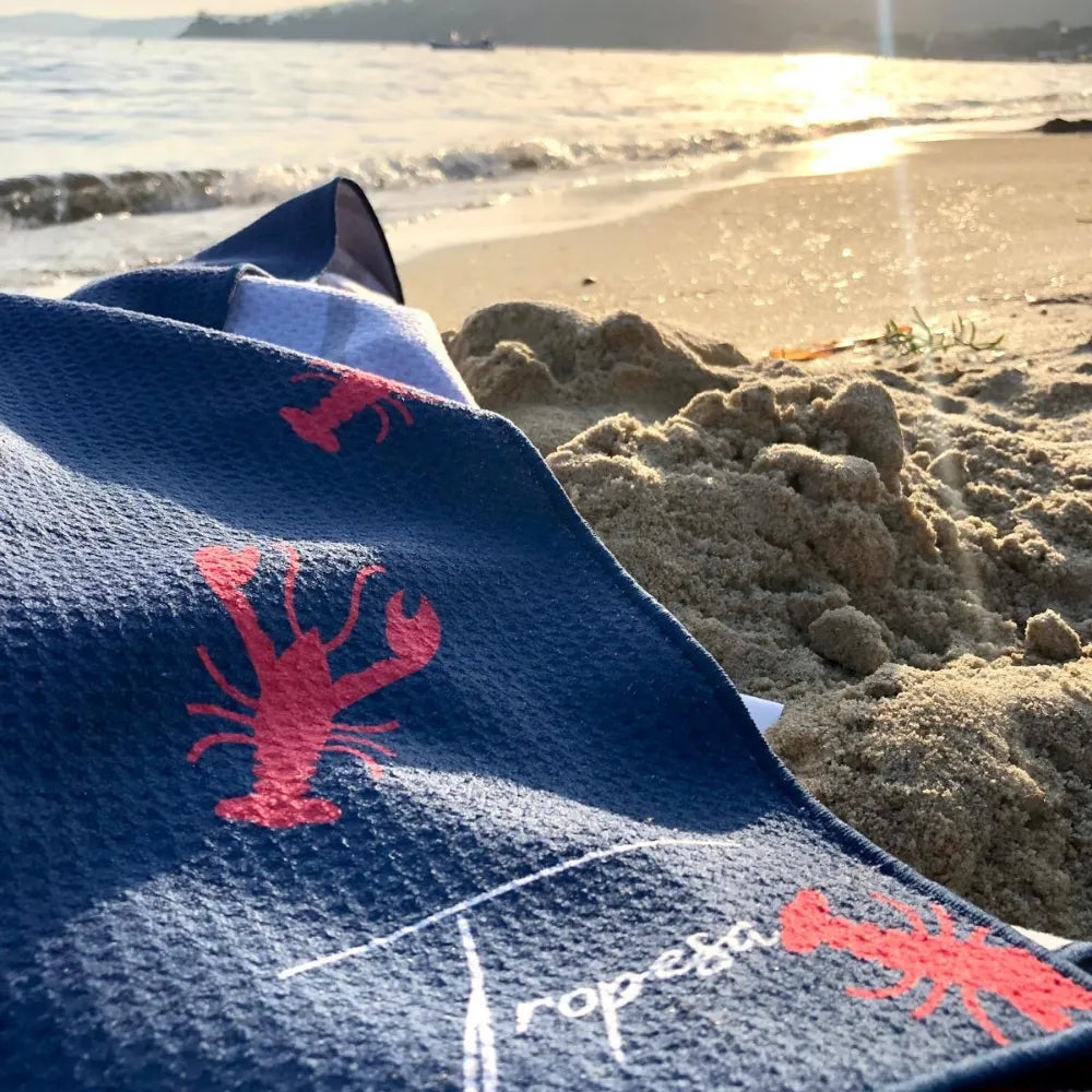 Serviette De Plage Cavalier King Dog Pattern Teal Background Couverture